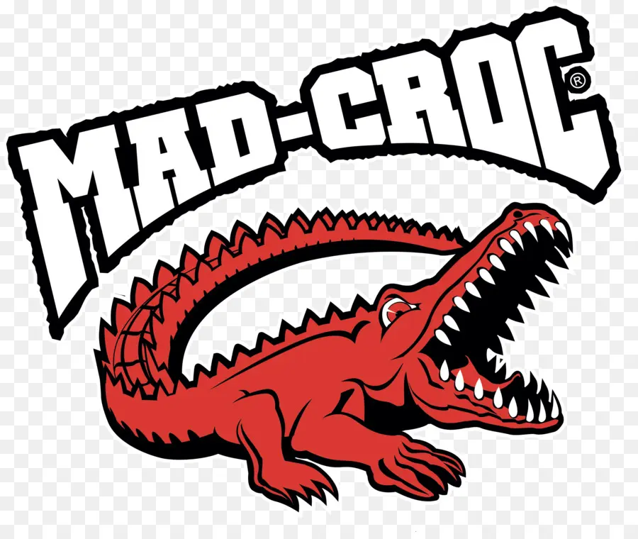 Crocodile，Fou Croc PNG