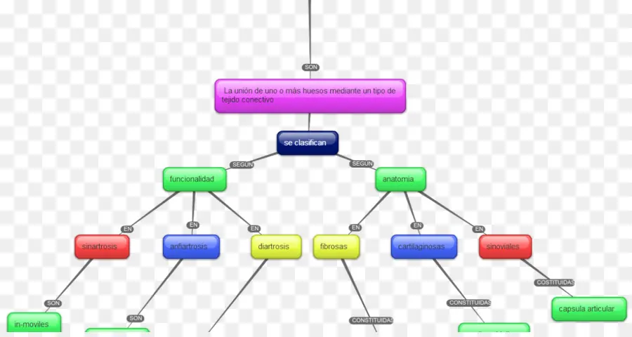 Organigramme，Processus PNG