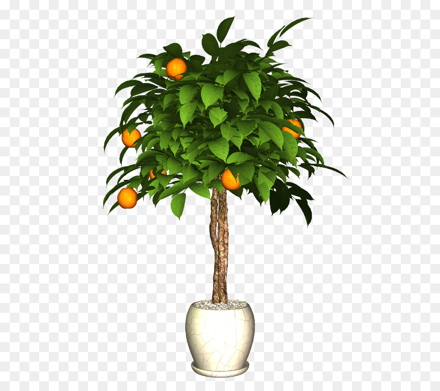 Flowerpot，Plante PNG