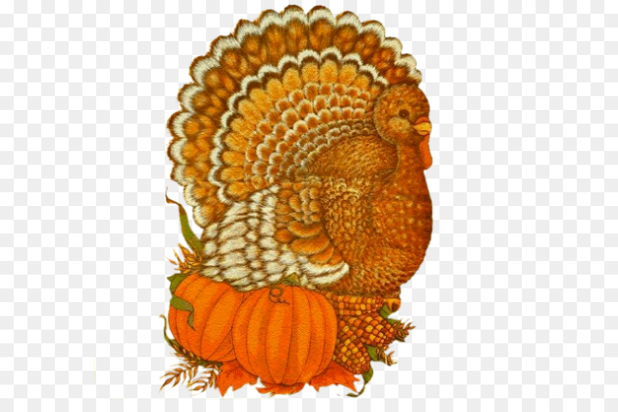 Thanksgiving，Gourde PNG