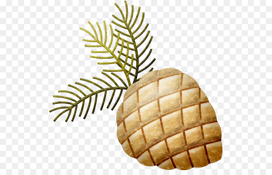 Pomme De Pin，Bifurquer PNG