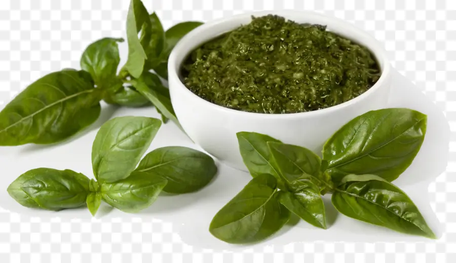 Basilic，Pesto PNG