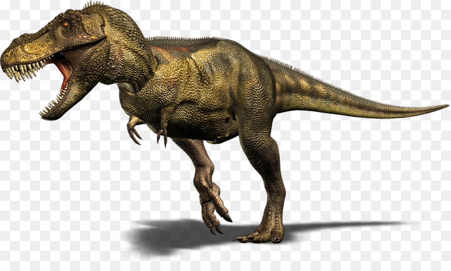 Tyrannosaure Rex，Préhistorique PNG