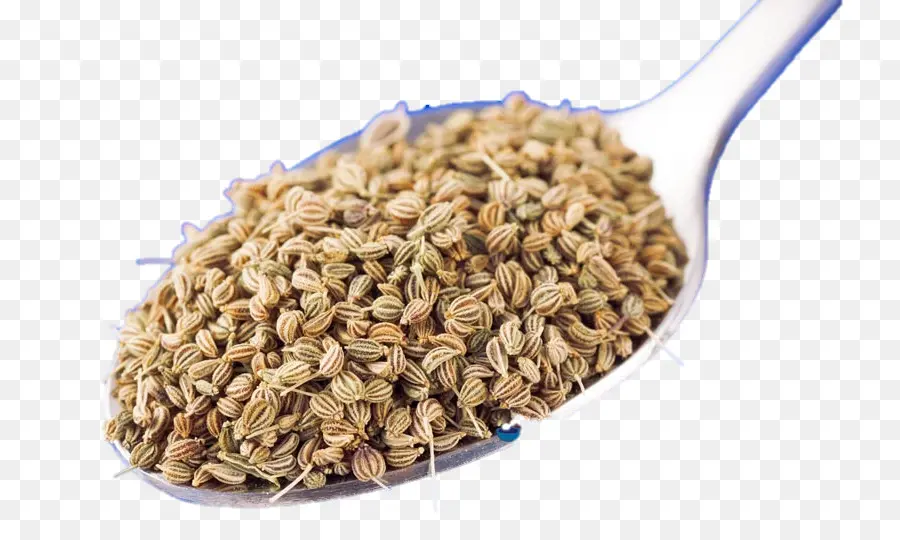 Ajwain，D Avoine PNG