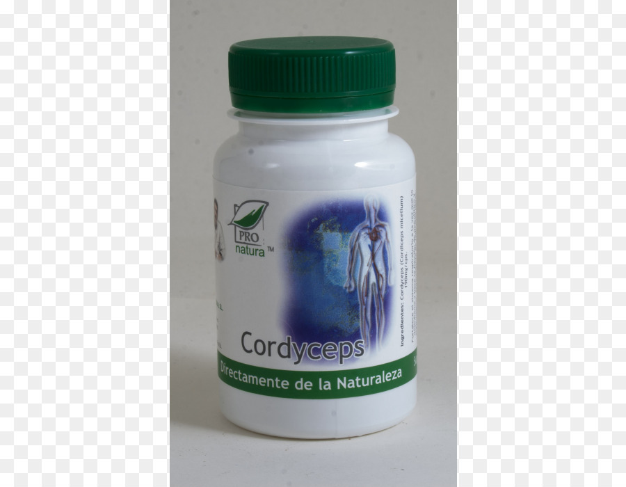 Cordyceps，L Immunité PNG