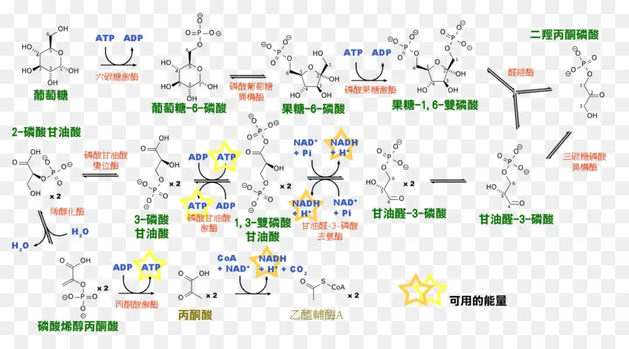 Réactions Chimiques，Molécules PNG