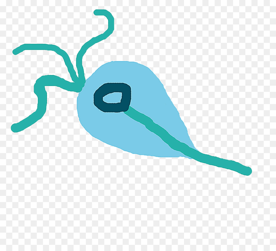 Doubler，Turquoise PNG