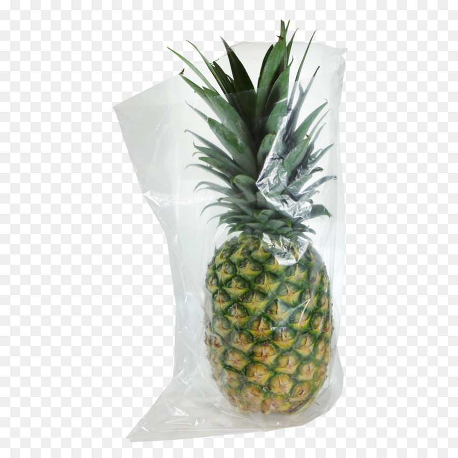 Ananas，Pot De Fleur PNG