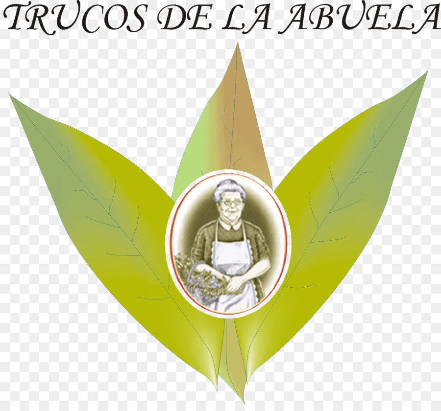 La Grand Mère De Recours Pour Chaque Saison De L Année，Logo PNG