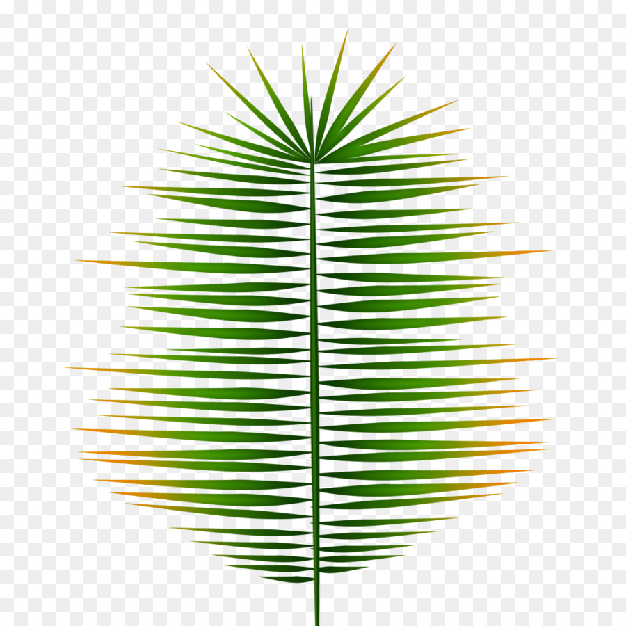 Palme，Tropical PNG