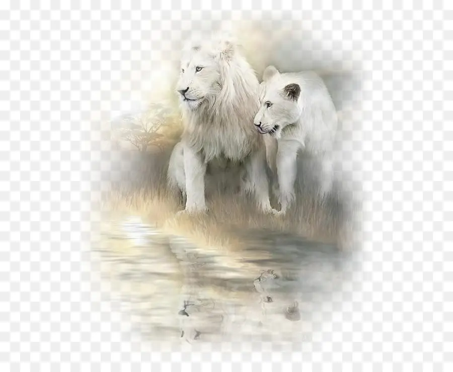 Lion，Lion Blanc PNG