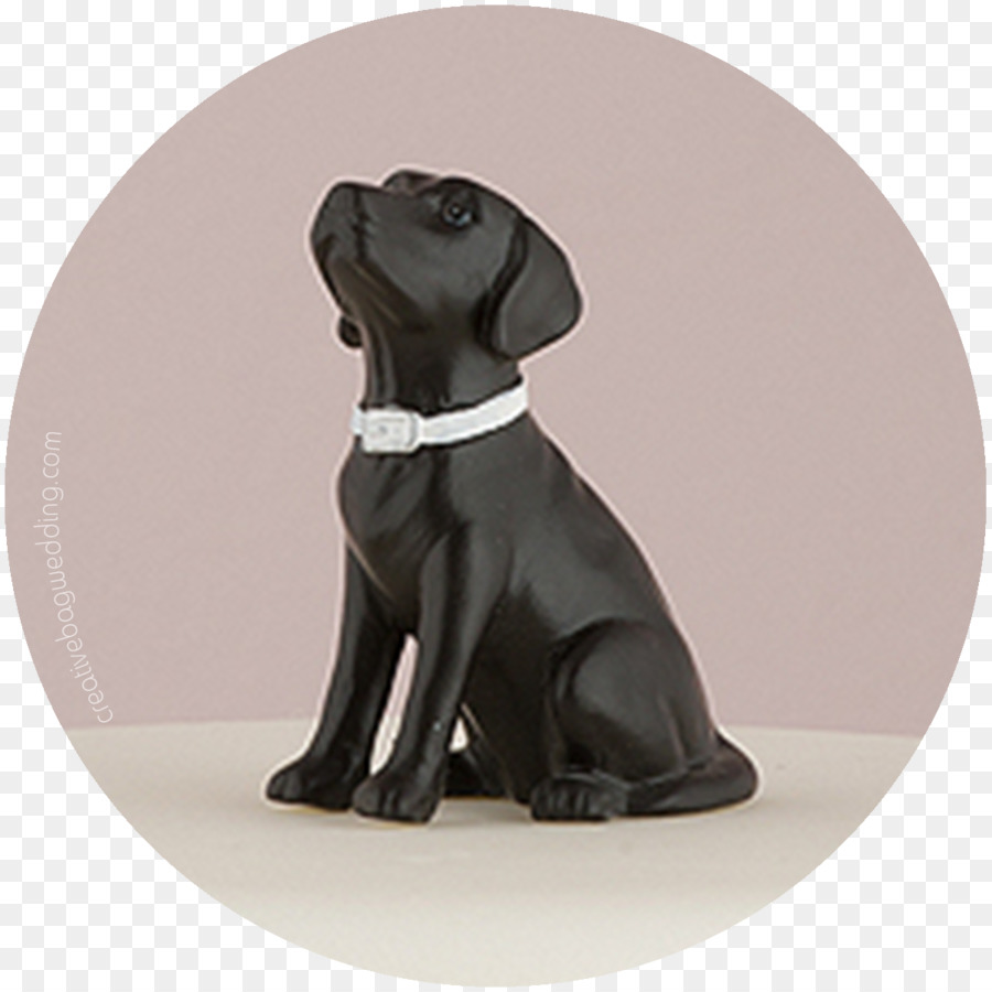 Le Labrador Retriever，Gâteau De Mariage PNG