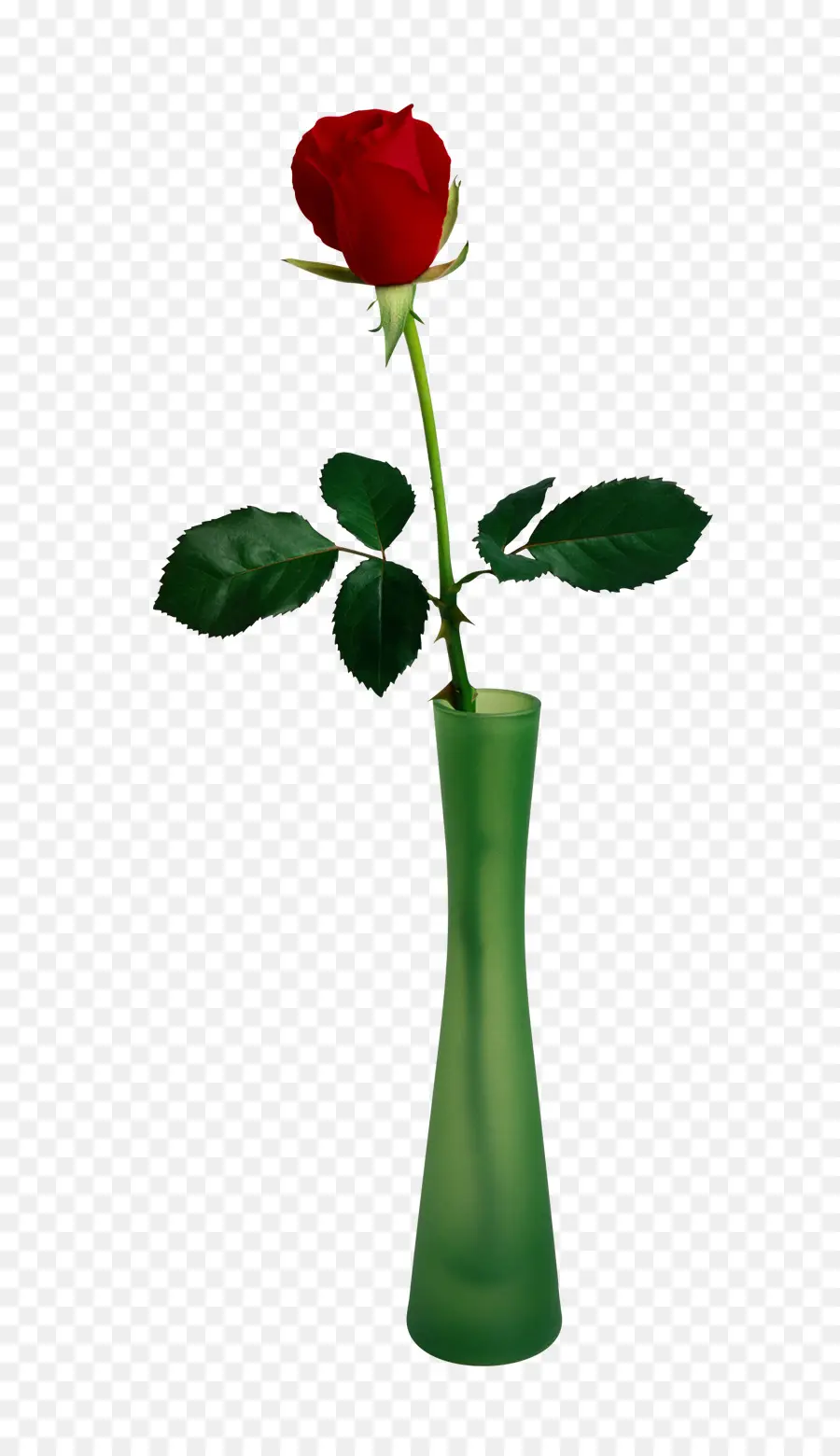 Rose Rouge，Vase PNG