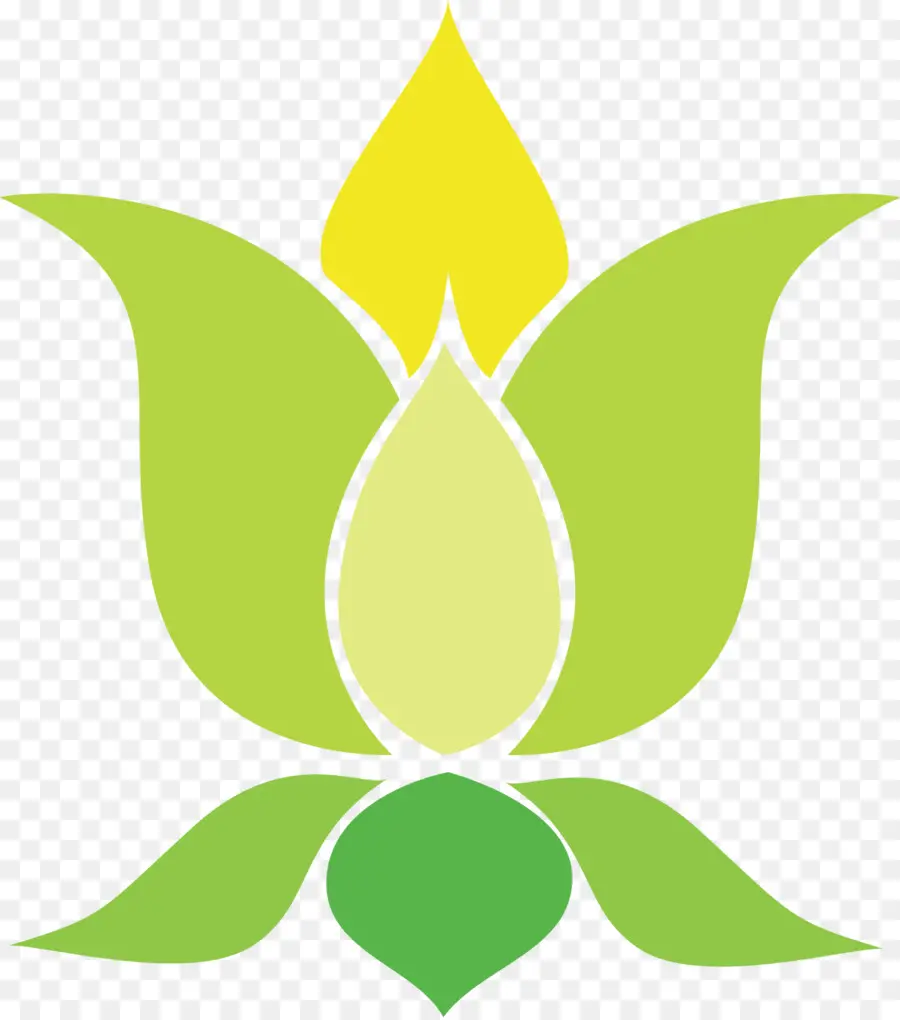 Lotus Coloré，Fleur PNG