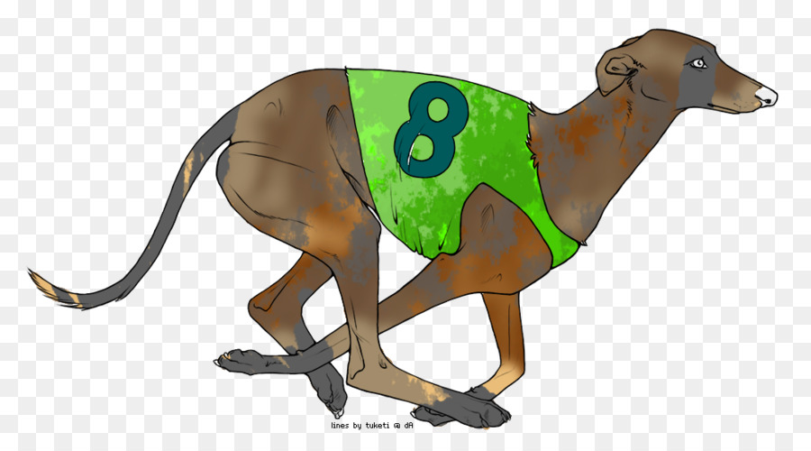 Petit Lévrier Italien，Greyhound PNG