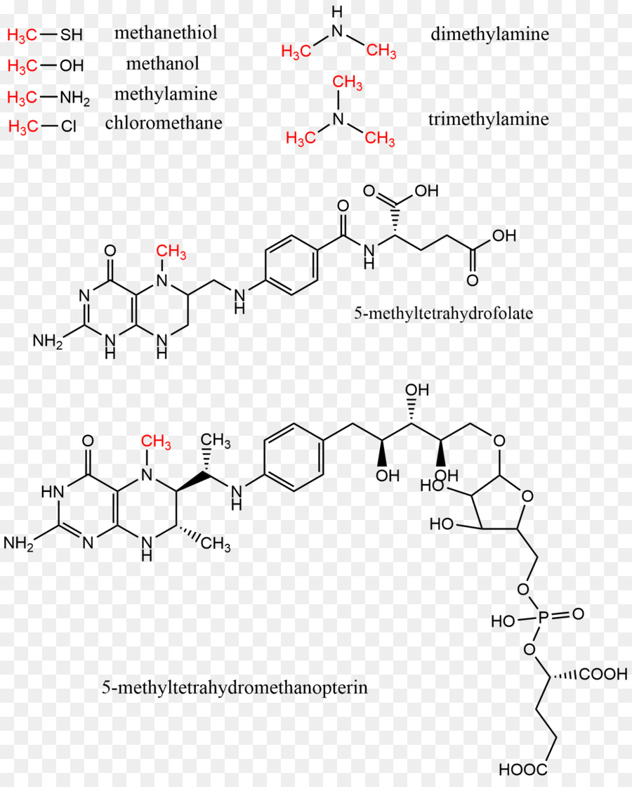 Structure Chimique，Molécule PNG