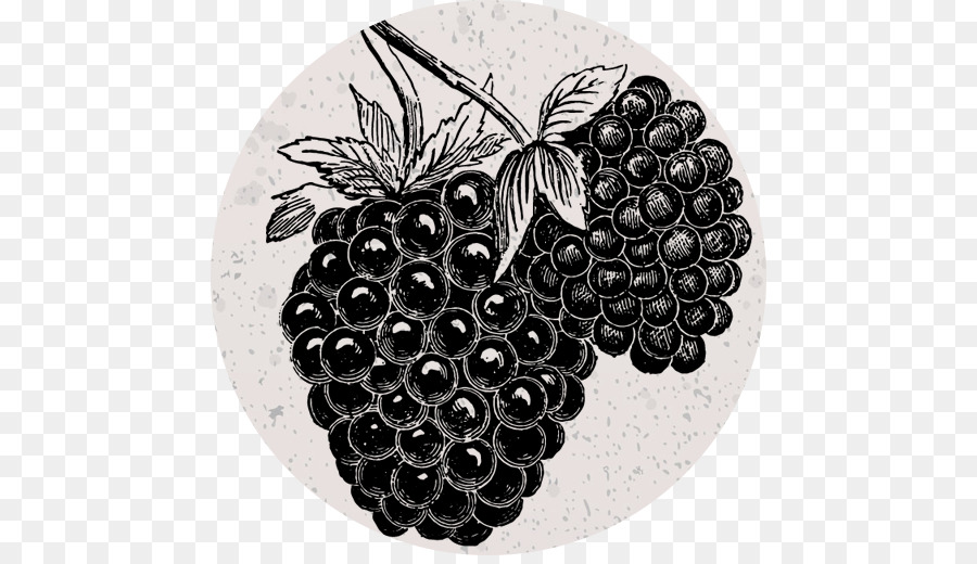 Blackberry，Raisin PNG