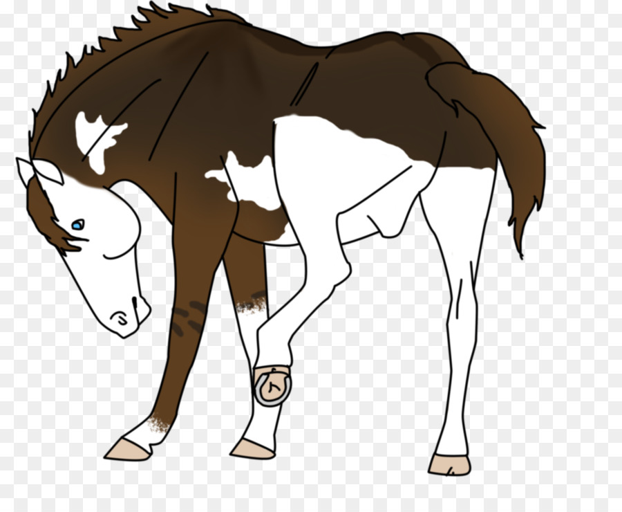 Cheval Blanc，Crinière PNG