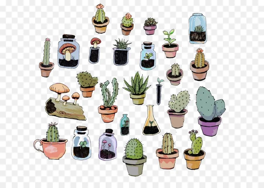 Plantes En Pot，Cactus PNG