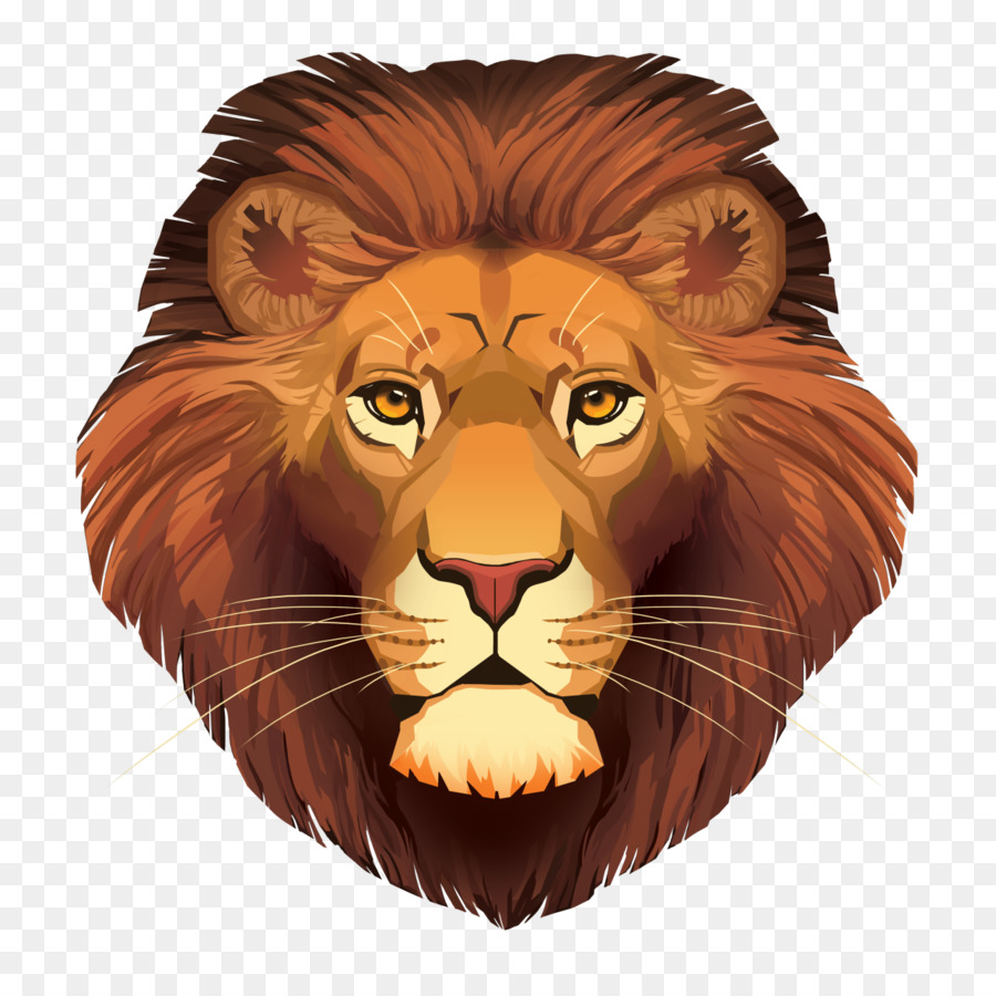 Lion，Petit PNG