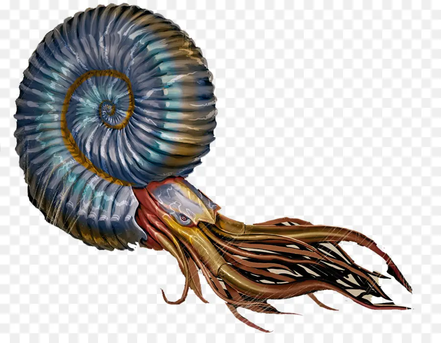 Arche De Survie évolué，Les Ammonites PNG