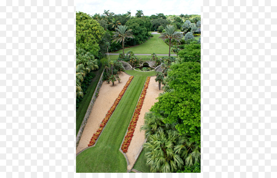 Fairchild Tropical Jardin Botanique，Jardin PNG