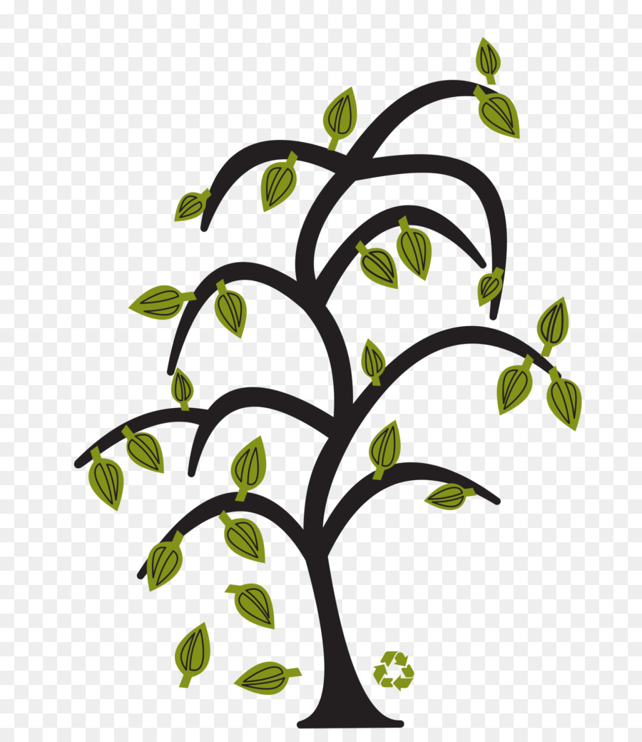 Arbre，Feuilles PNG