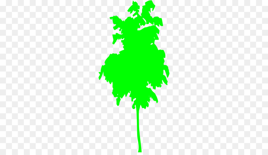 Feuille，Tige De La Plante PNG