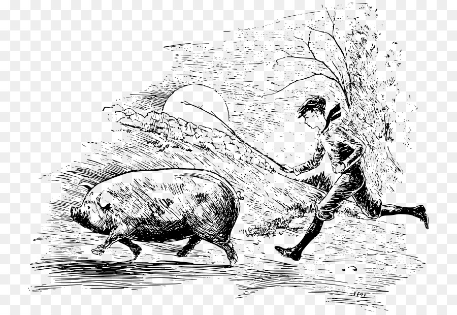 Cochon，Noir Et Blanc PNG