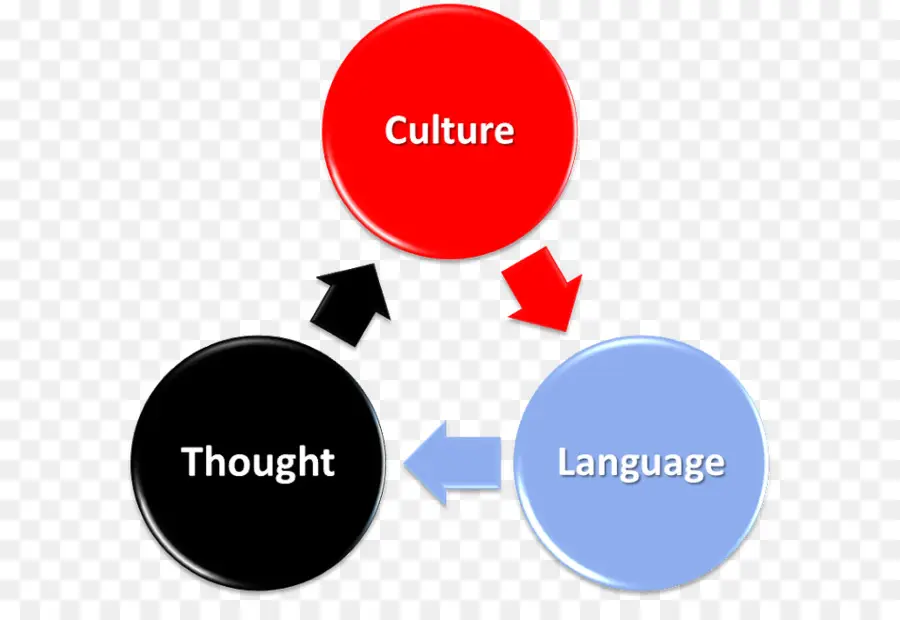 Diagramme Culturel，Pensée PNG