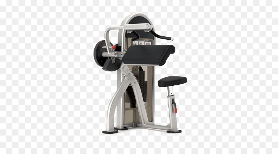 Biceps Curl，Biceps PNG