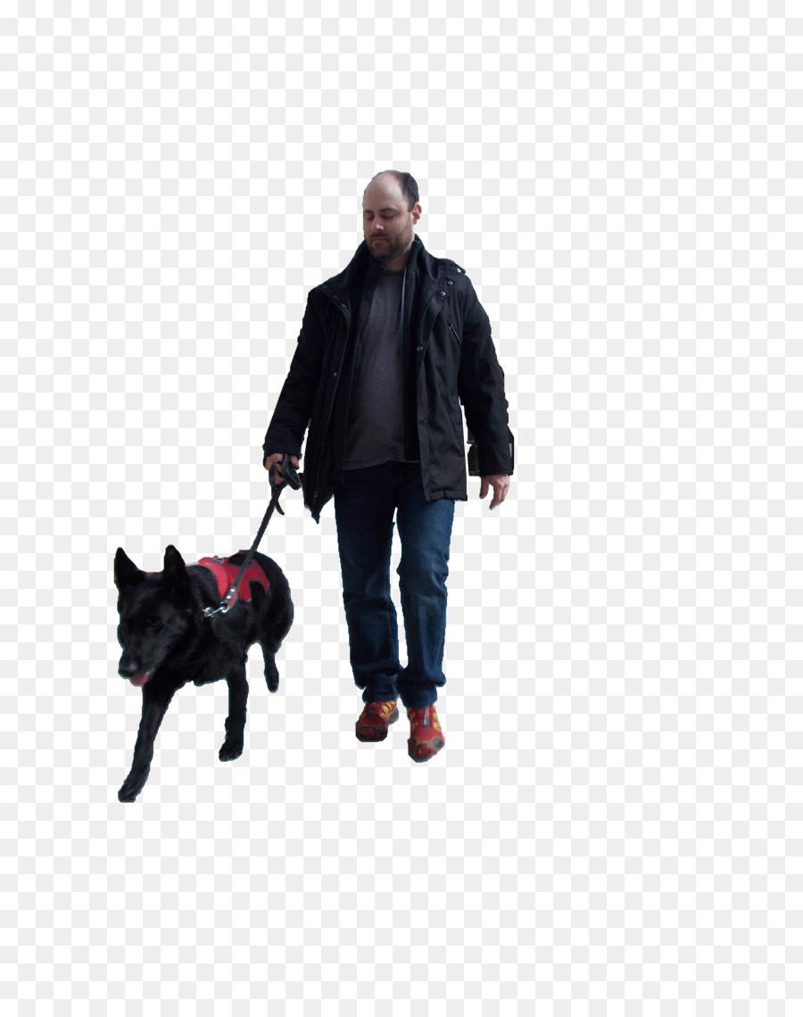 Invalidité，Chien PNG