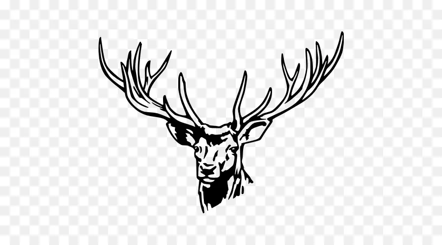 Cerf，Bois PNG