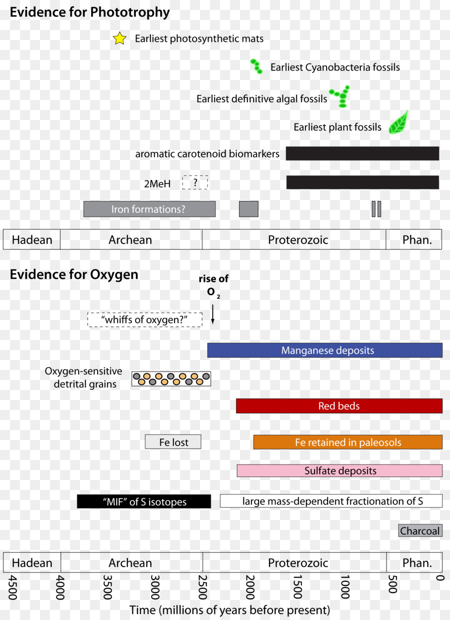 Page Web，Ordinateur PNG