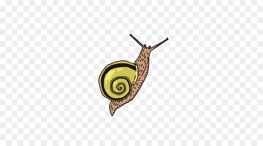 Escargot， PNG