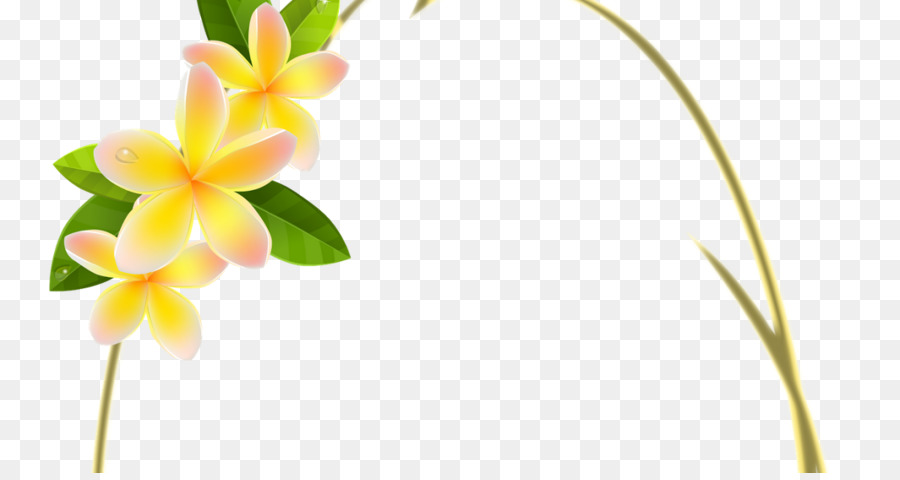 Fleurs Jaunes，Feuilles PNG