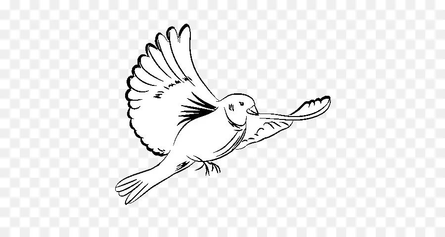 Oiseau Volant，Contour PNG