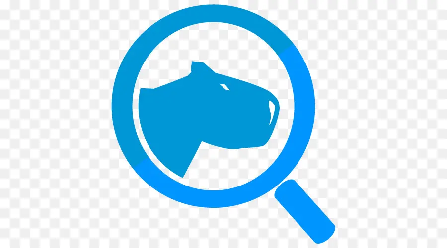 Loupe Bleue，Recherche PNG