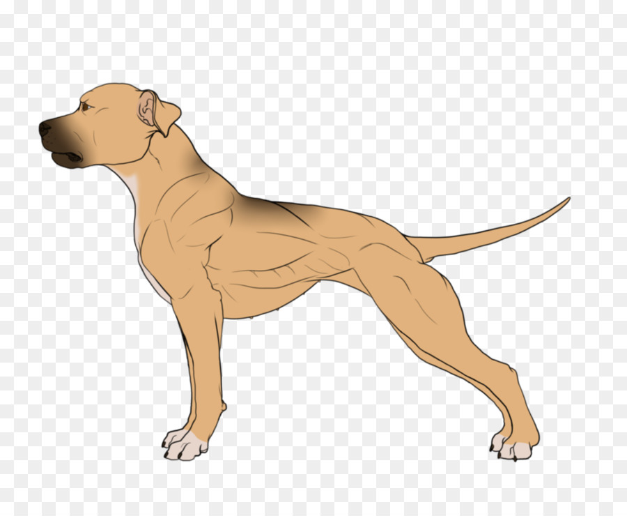 Chien Qui Court，Blanc PNG