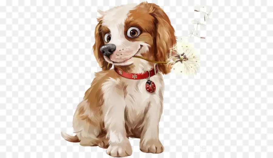 Chiot，De Poméranie PNG