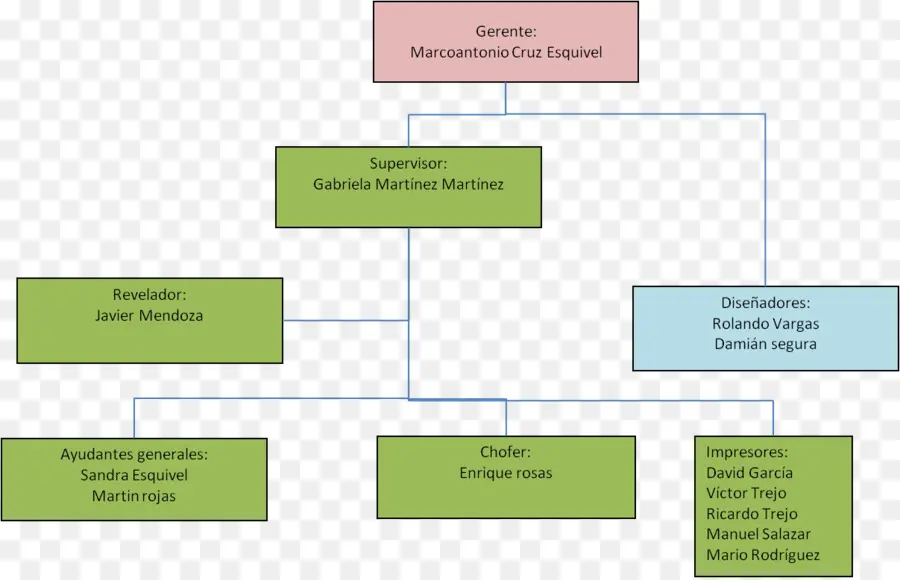 Organigramme，Structure PNG