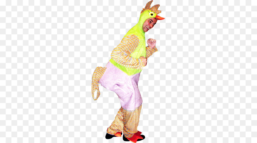 Oiseau，Costume PNG