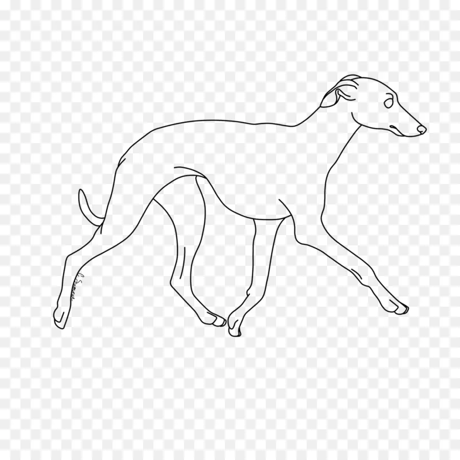 Aperçu Du Chien，Animal De Compagnie PNG