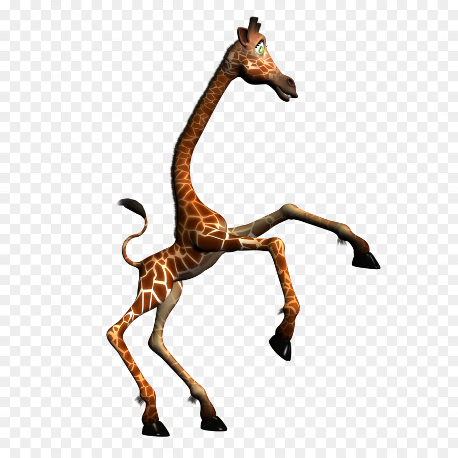 Girafe，Faune PNG