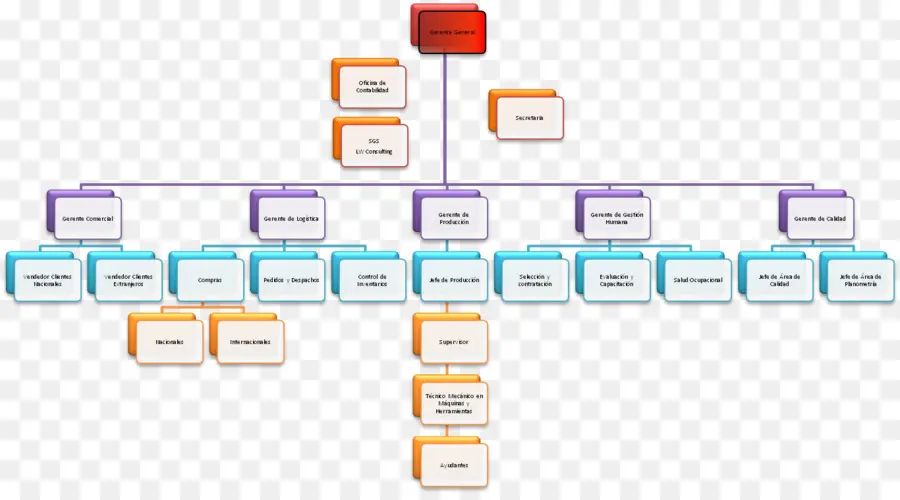 Organigramme，Organisation PNG