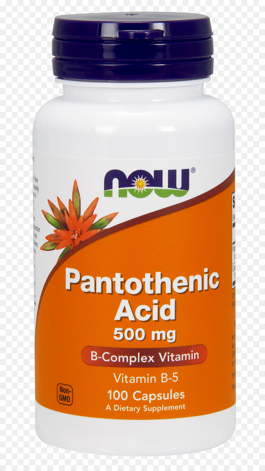 Complément Alimentaire，Acide Pantothénique PNG