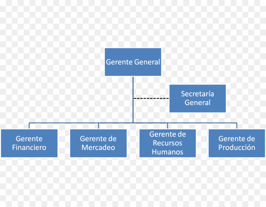 Organisation，Organigramme PNG