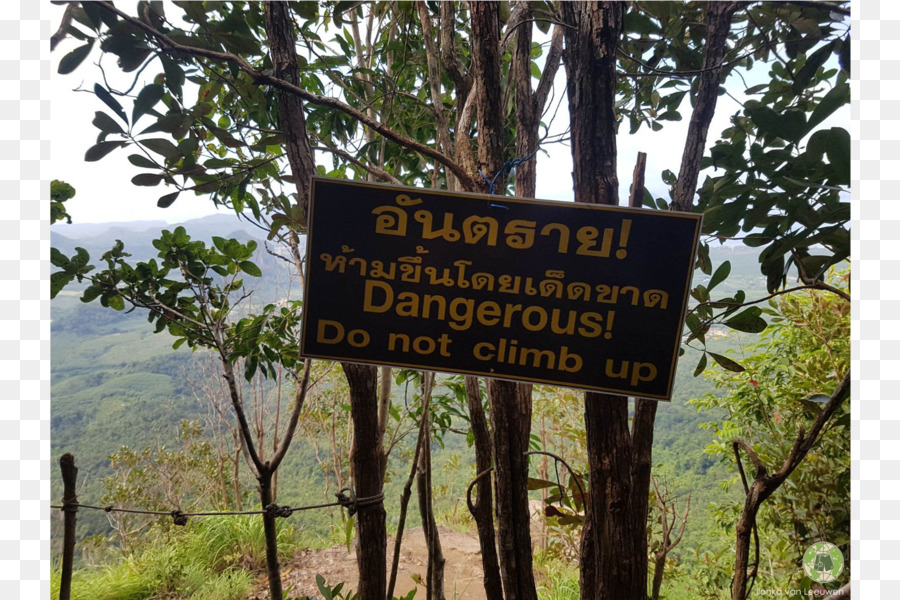 Parc National Du Gunung Mulu，La Nature PNG