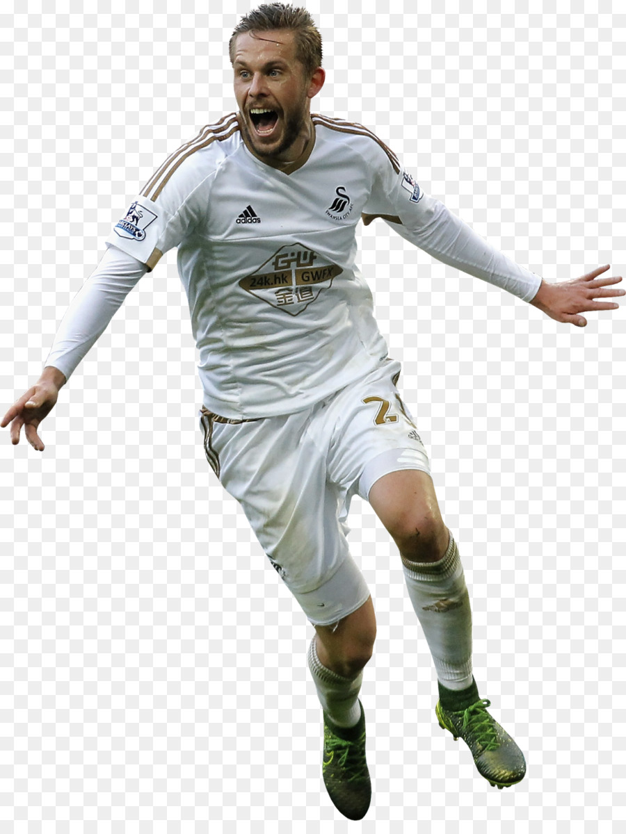 Gylfi Sigurðsson，Swansea City Afc PNG