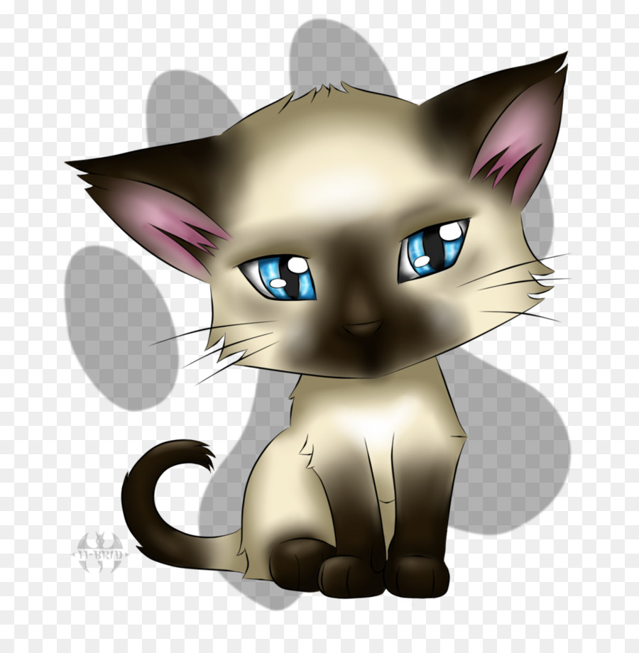 Chat De Dessin Animé，Mignon PNG